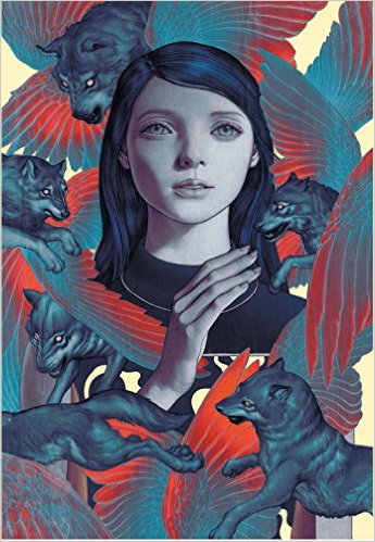 FABLES THE COMPLETE COVERS BY JAMES JEAN