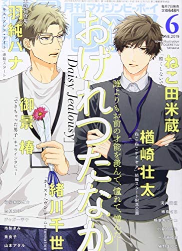 BEXBOY 06 2019 (JAPONÉS)