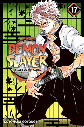 DEMON SLAYER (INGLÉS) 17
