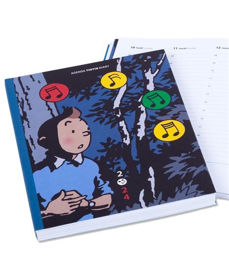 TINTIN AGENDA MESA 2023