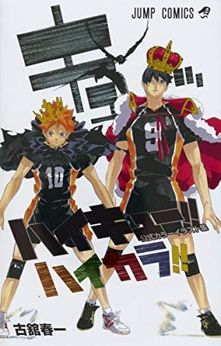 HAIKYU!! COLOR ILLUSTRATIONS ARTBOOK (JAPONÉS)